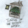 Turtle in the Moon Hotel